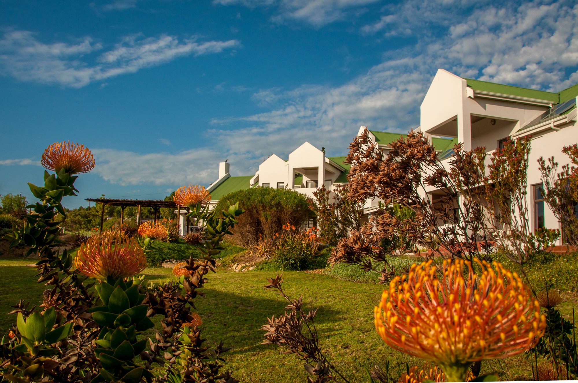 Wind-Rose Guest House Gordons Bay Luaran gambar