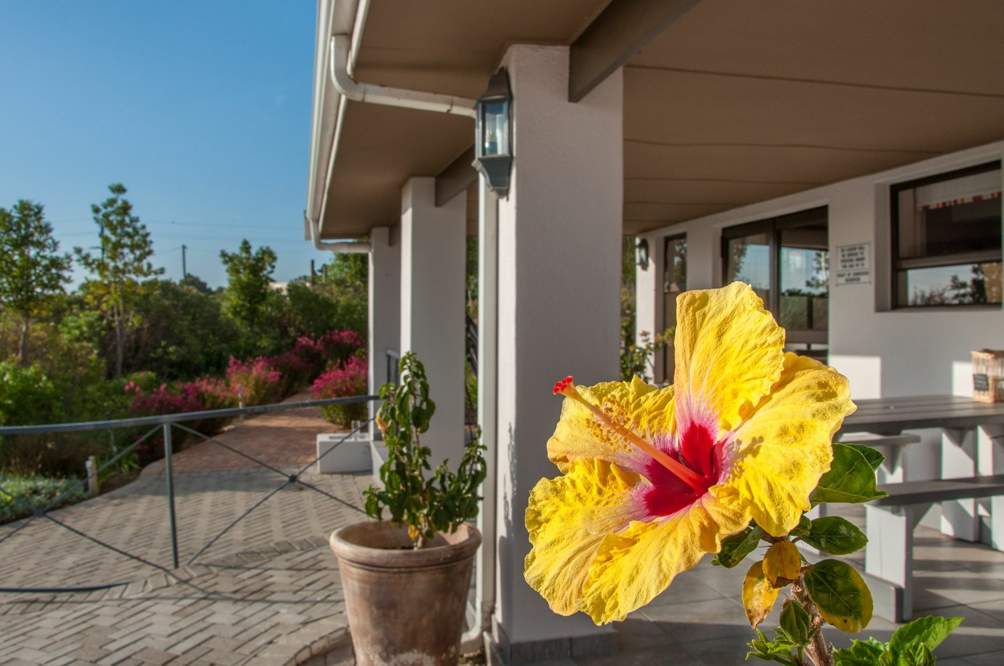 Wind-Rose Guest House Gordons Bay Luaran gambar
